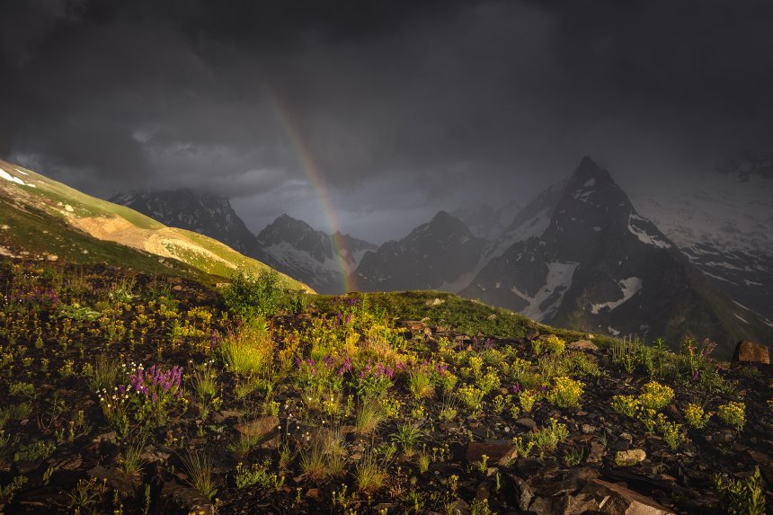 Горная симфония - Дмитрий Купрацевич