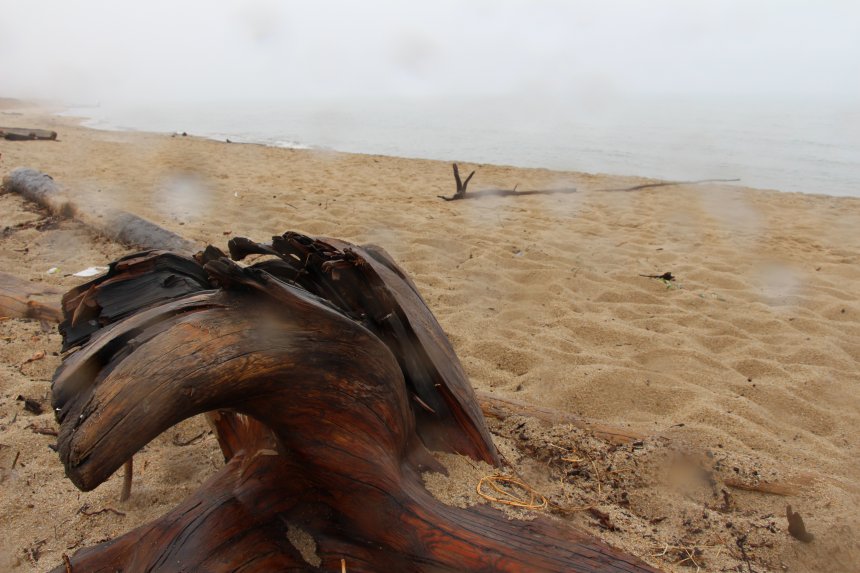 Пески времени - Анна