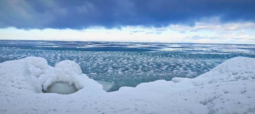 зимняя прогулка -   (1/4)