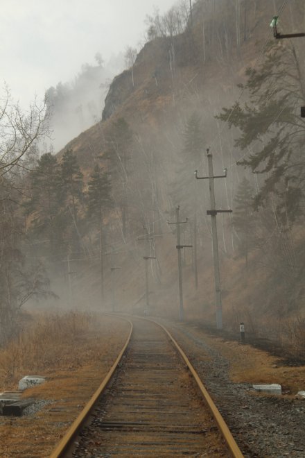 Зов тумана -  