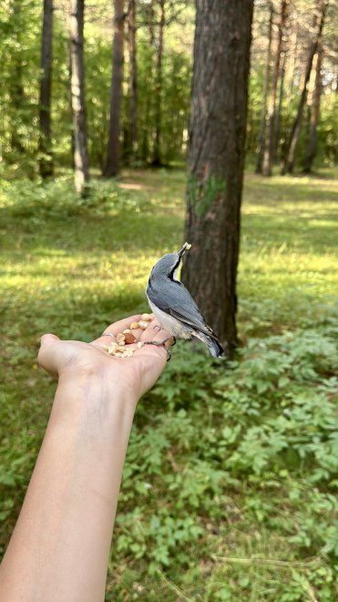 Миг доверия - Саида Асланова