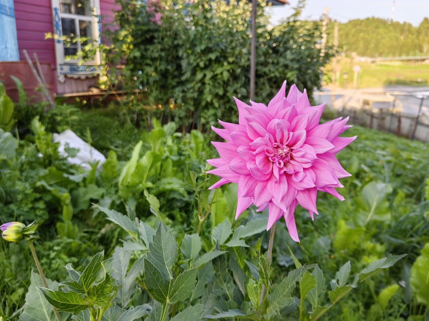 В деревне у бабушки - Ольга Глущенко