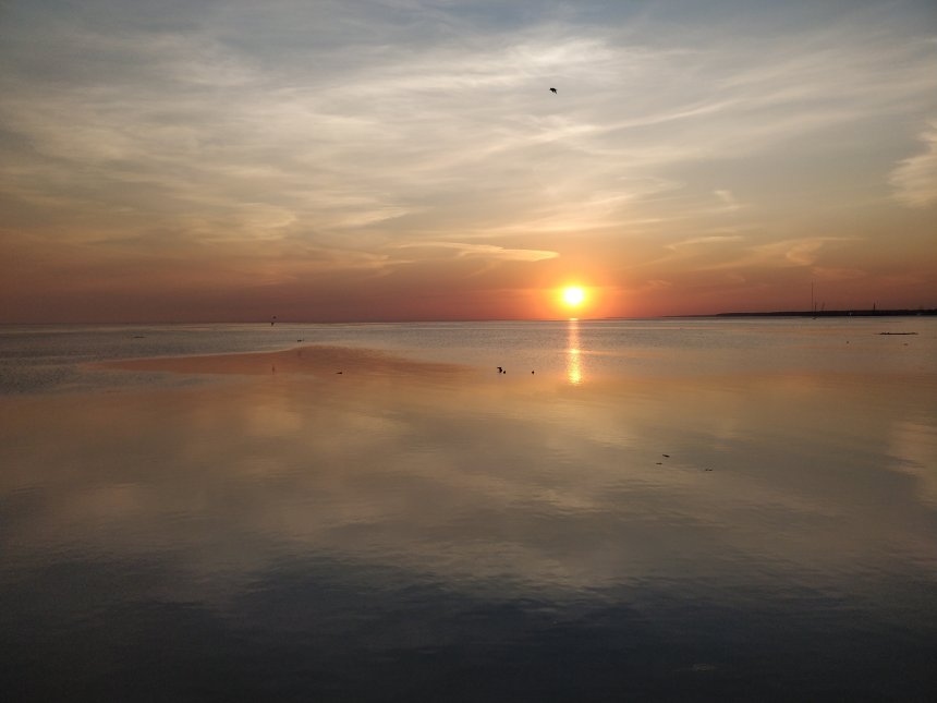 Петербургские закаты - Софья Куварзина