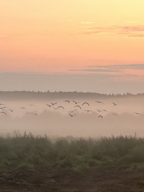 Рассветный полет - Наталья