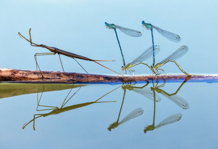 В очередь… - Наталья Владимировна Бачкова