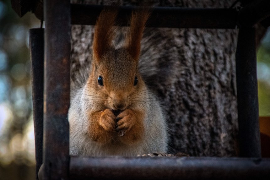 Гастрономическая медитация - Екатерина