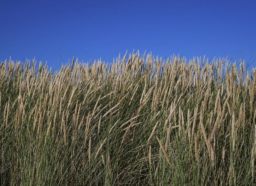На Балтийских берегах - Анастасия Маковецких (1/8)