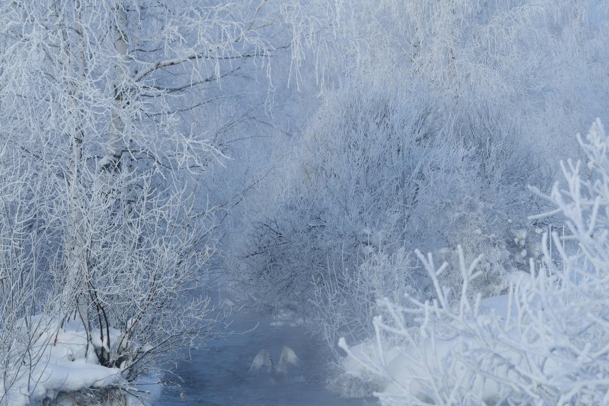 Хозяин пространства красоты - Владимир Вяткин