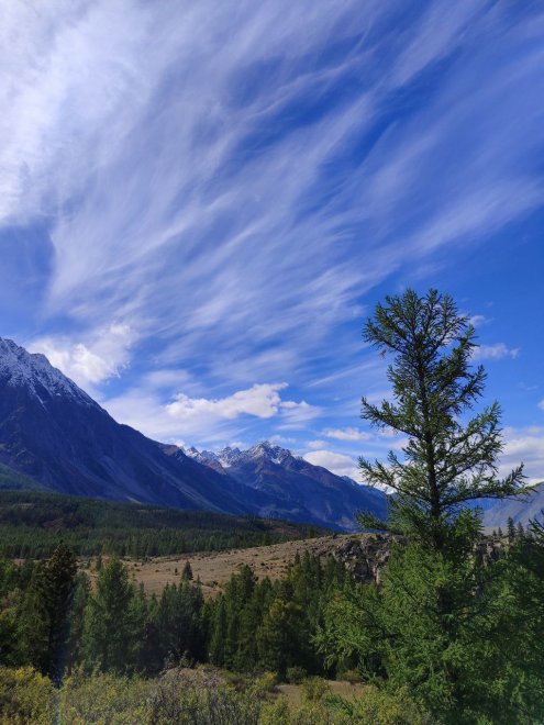Тишина, которая говорит - Юлия Холомцева