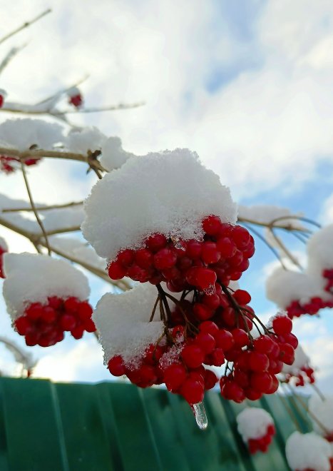 Зимушка зимк -  