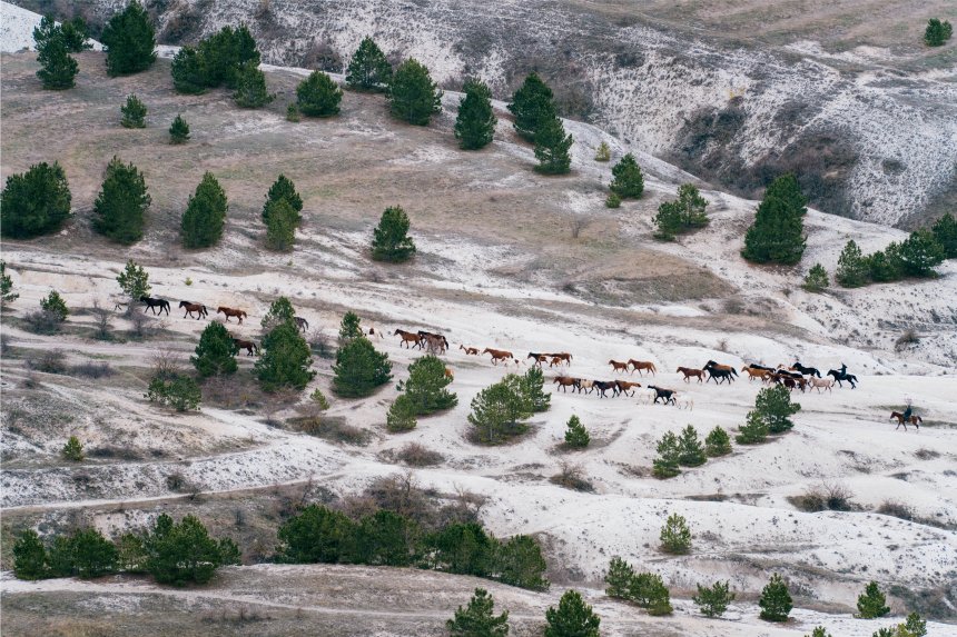 Вечерний выпас -  