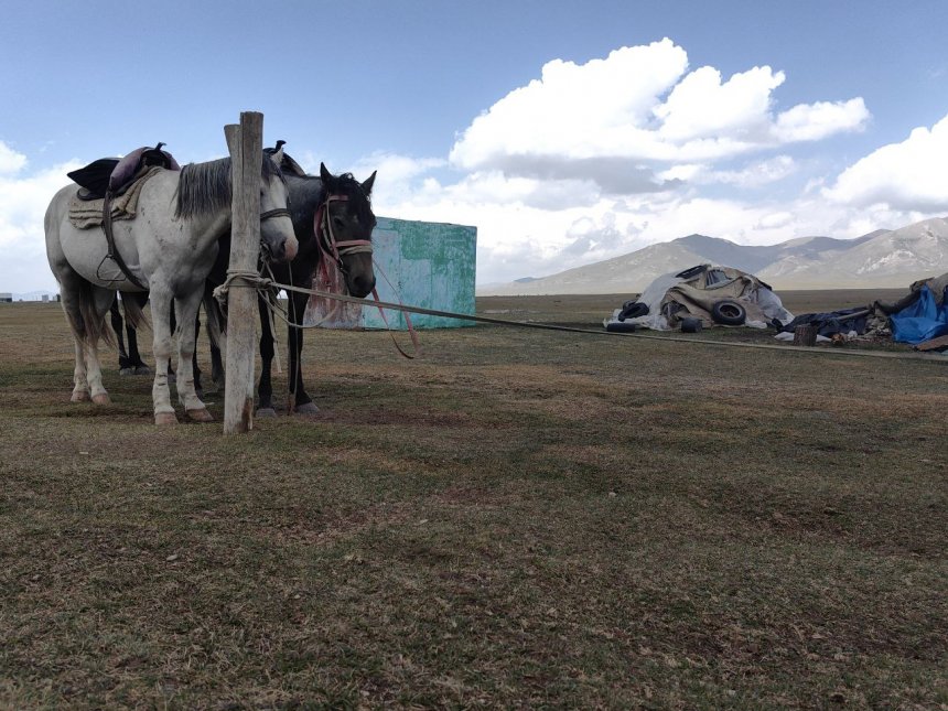 Быт киргизских кочевников /  Life of Kyrgyz nomads -   (1/5)