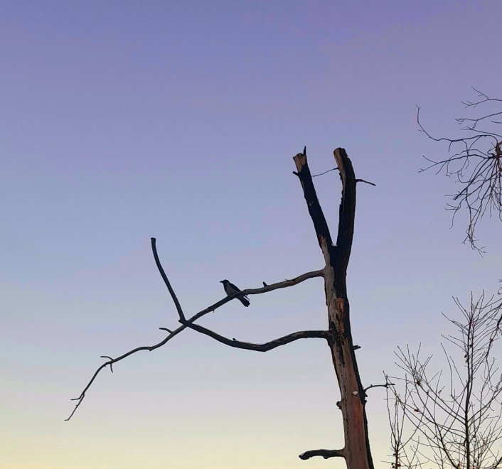 В размышлениях - Ярослав