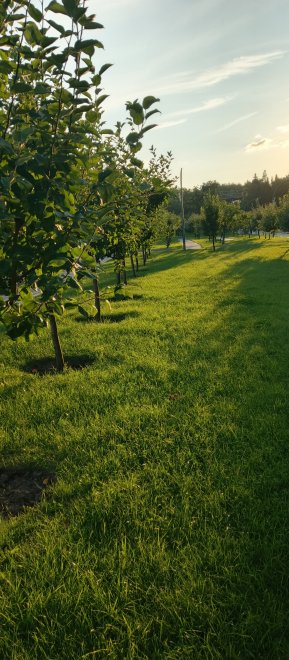 Мичуринский сад, ВДНХ -  