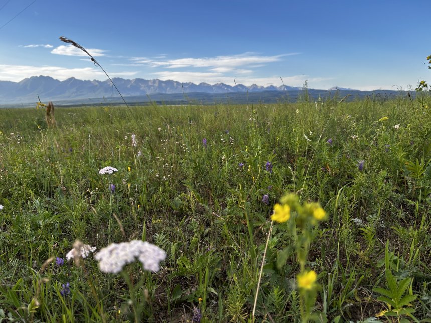 Чудеса природы - Татьяна