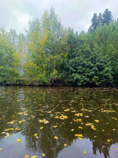 Осень на воде - Ксения
