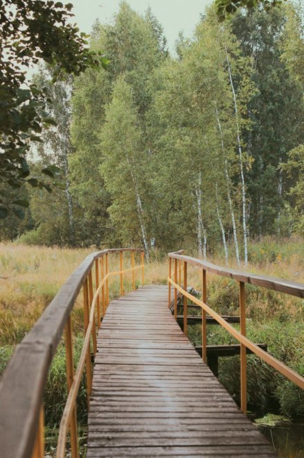 Мост в долину сказок - Елизавета