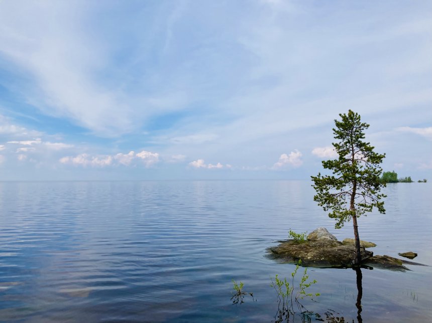 Между небом и водой - Елена Лапоногова