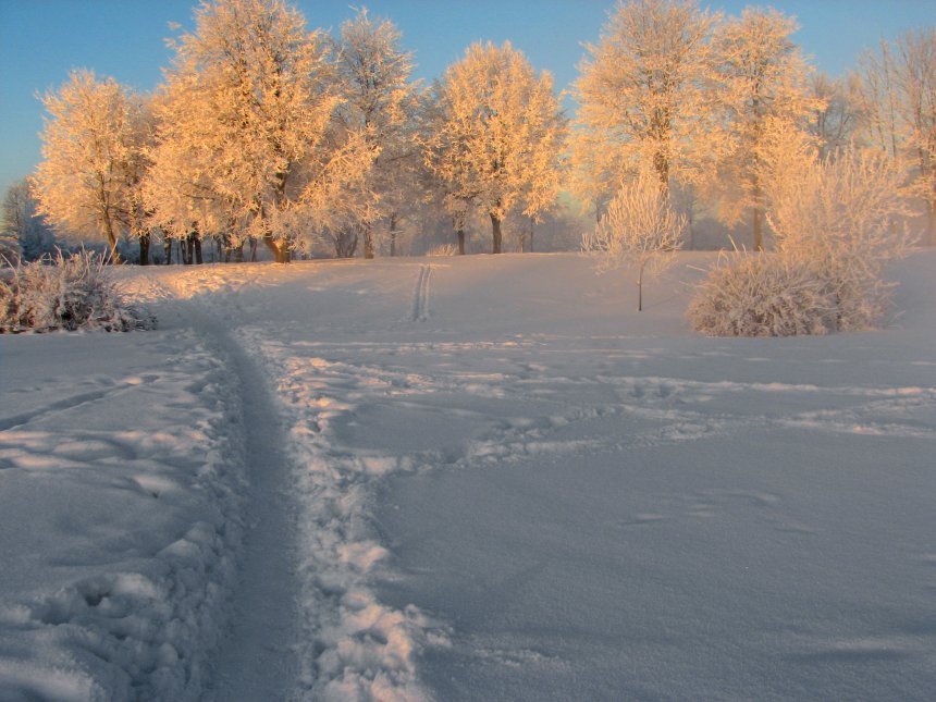 Хрустальные деревья -  