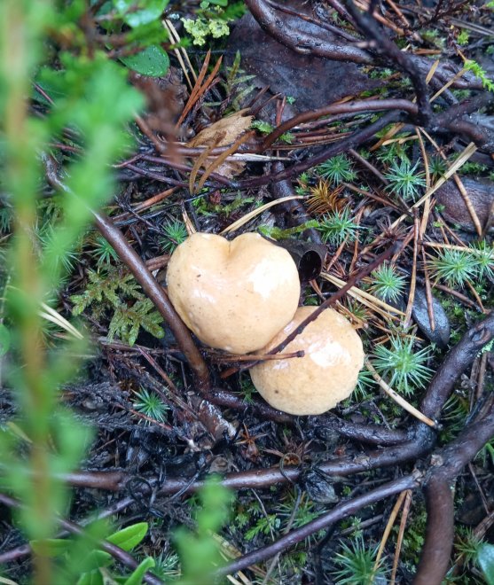 Любовь и точка - Юлия