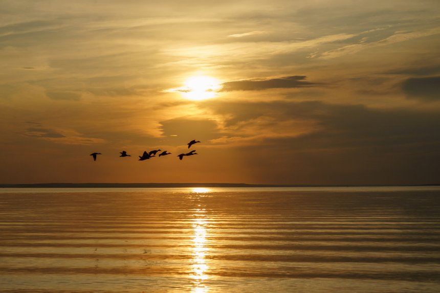 Закат на Молодецком кургане -   (1/8)