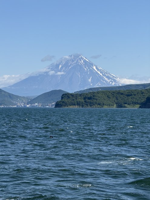 МояКамчатка - Тютрина Ольга