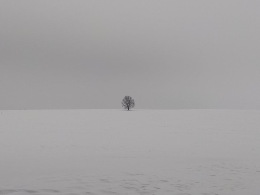 Ничего лишнего - Алексей