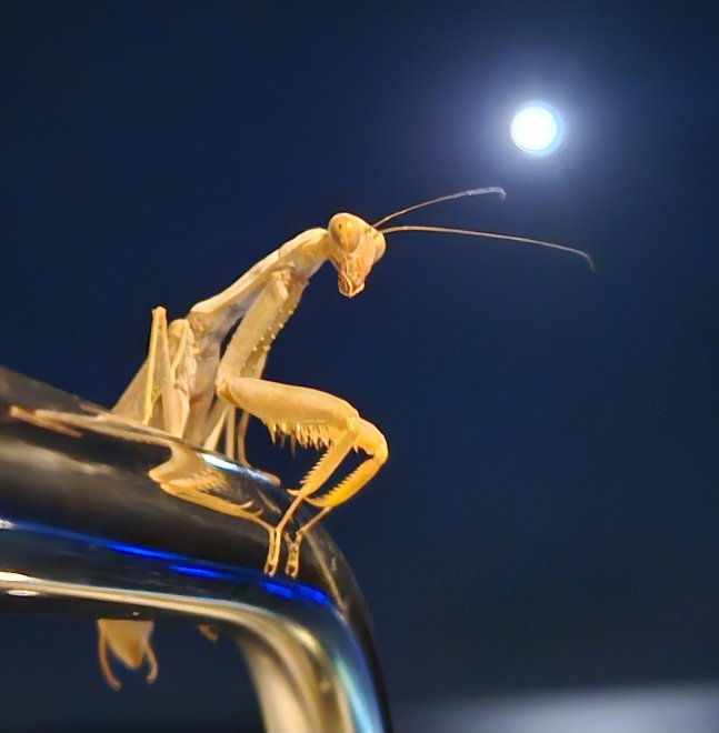 Не правда ли я красавчик? - Сергей