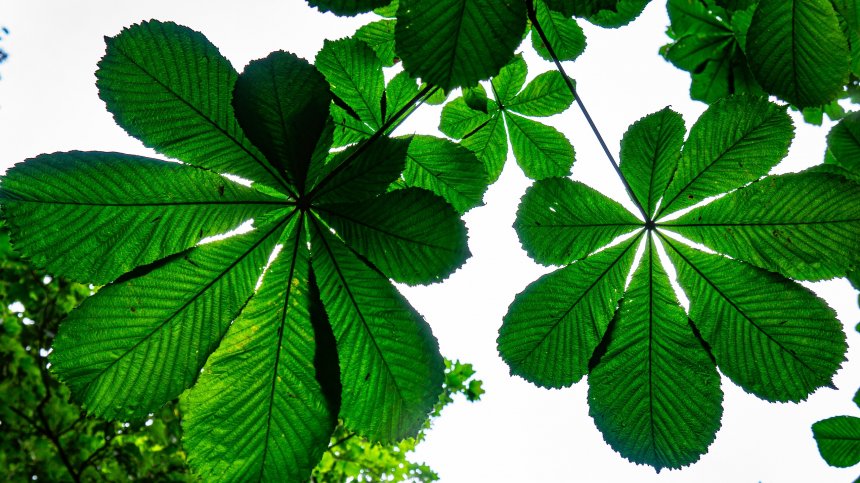 Тайна - Глеб