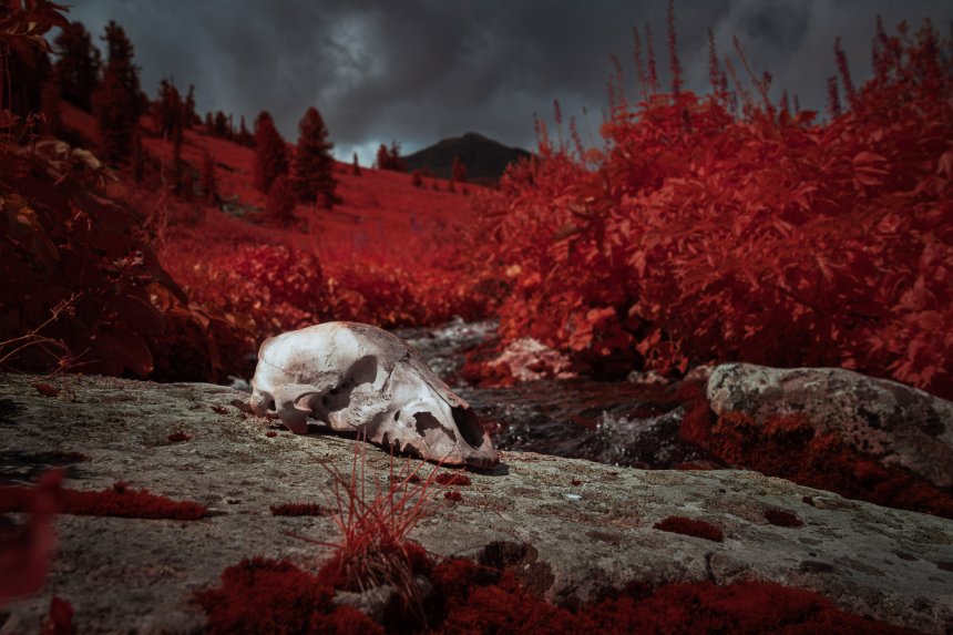 Нерассказанная история - Денис