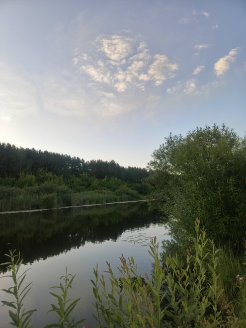 Летняя прохлада у воды. -  