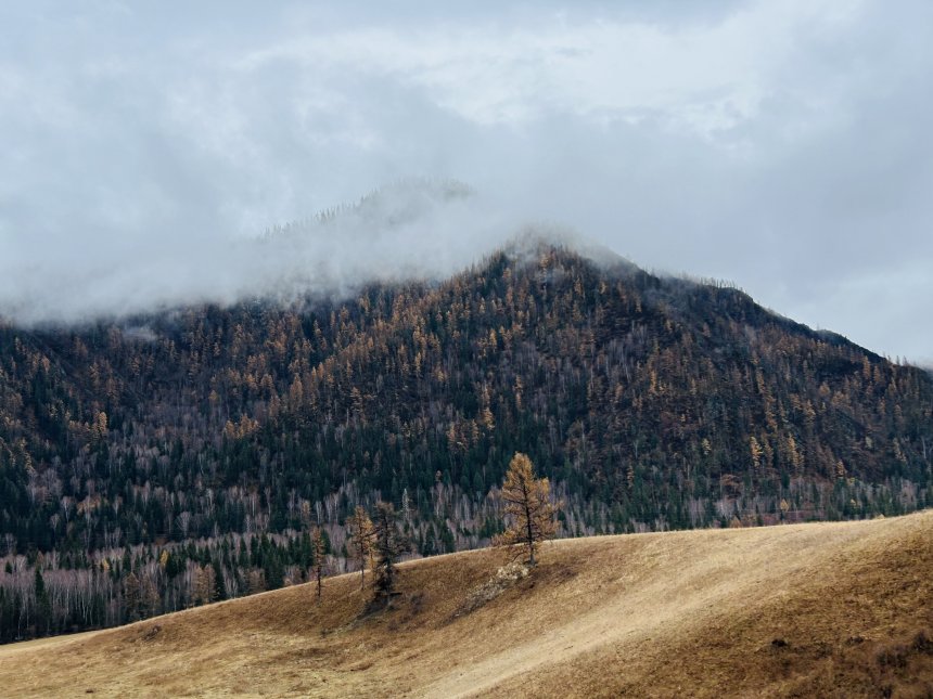 Эффект мягкого очарования природы - Лариса