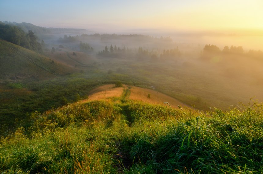 Летнее утро -  