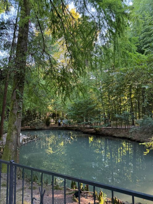 На море в сочи -  