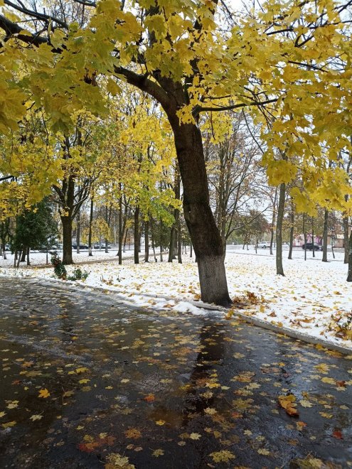 Мир через объектив: Путешествие без границ. Город Орел -   (1/7)