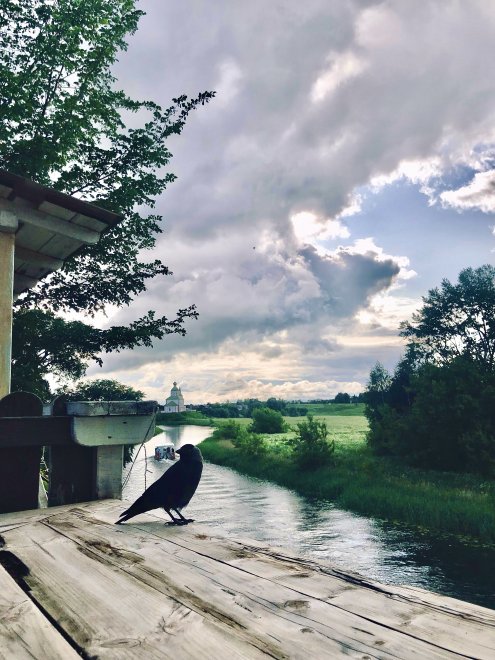 Свидетель. - Александр