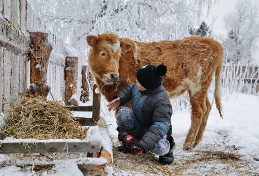 Верные друзья - Алина Алтынбаева