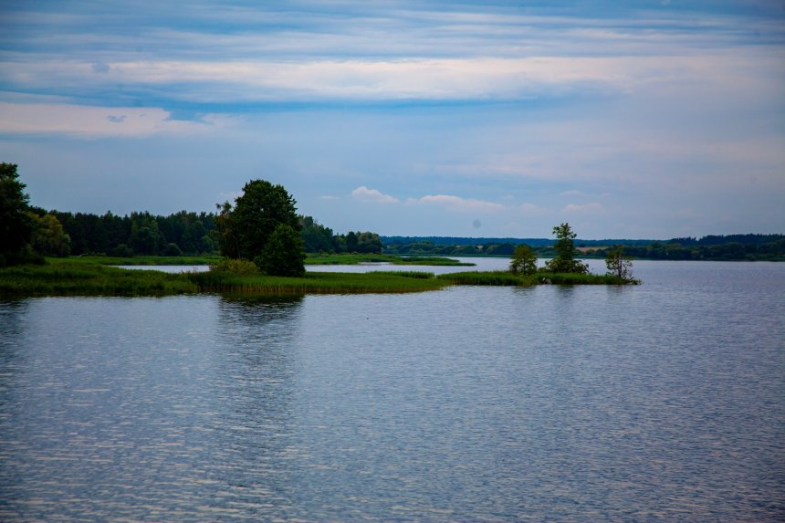 Горизонт - Анна Маилян