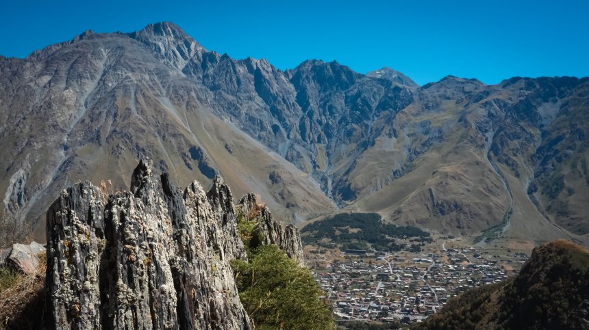 Гармония - Алим