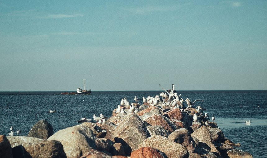 В ожидании улова - Кирилл