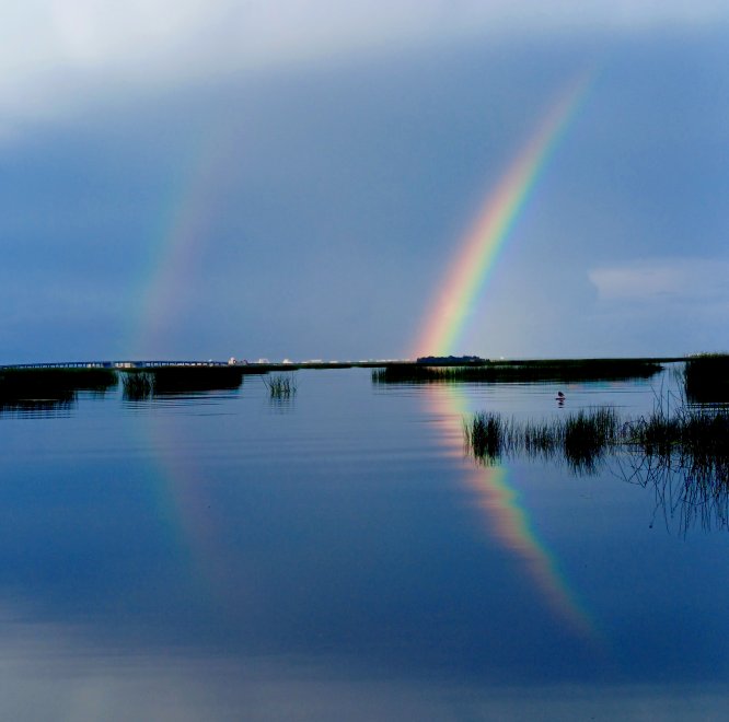 Радуга -  
