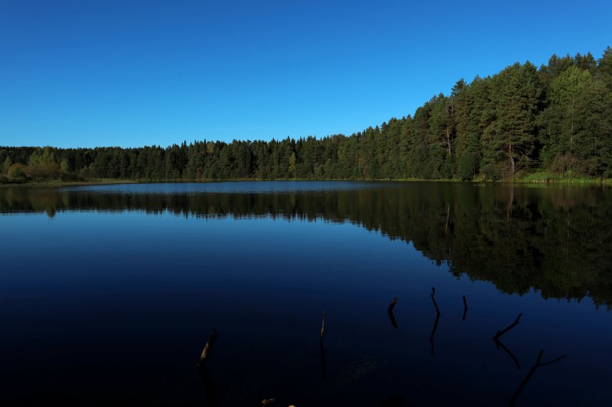 Тихий вечер у лесного озера (A quiet evening by a forest lake). - Максим