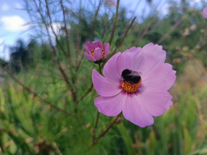 Ранняя осень - Красников Игорь Олегович