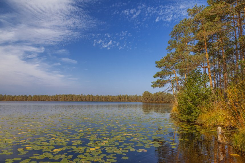 Порховский район , пос.Хилово - Лилия Семенова