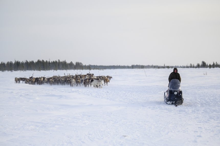 Оленевод - Андрей
