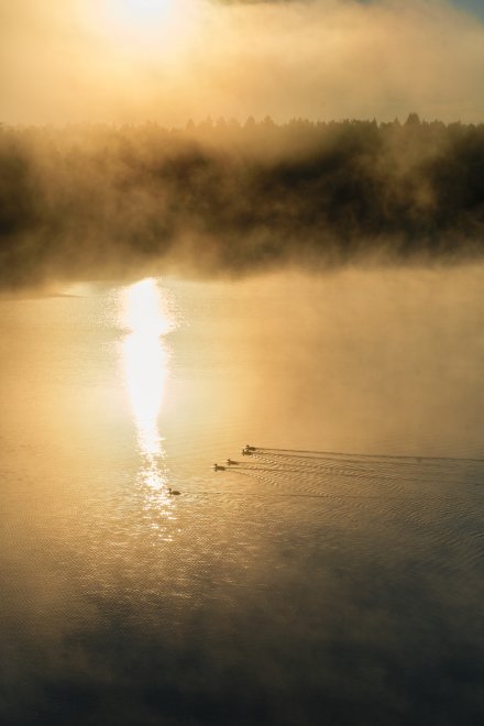 Карельский рассвет -   (1/8)