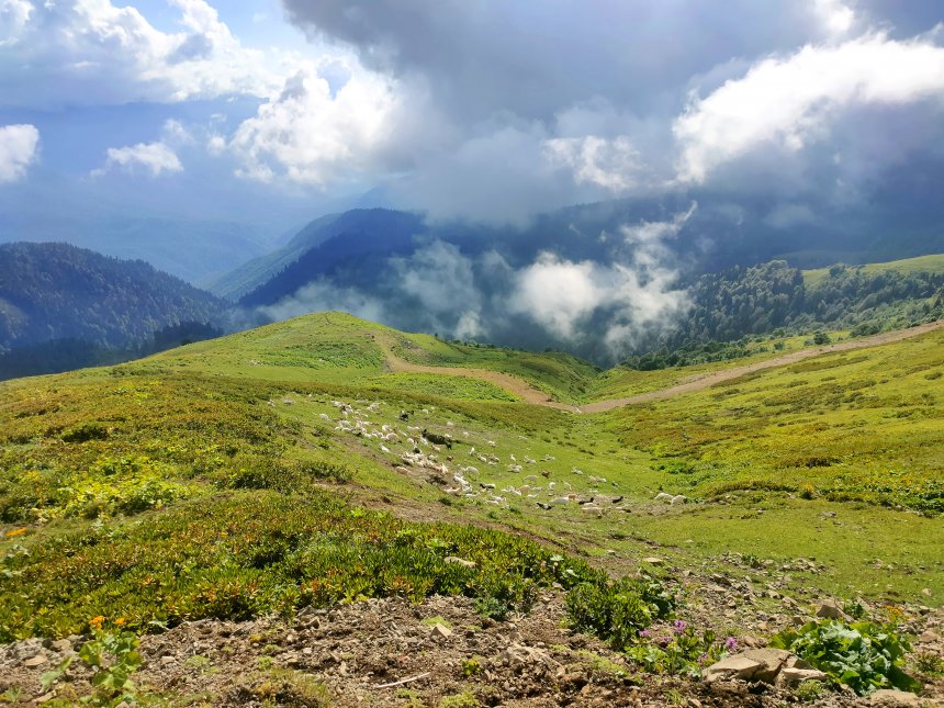 Гармония - Ирина