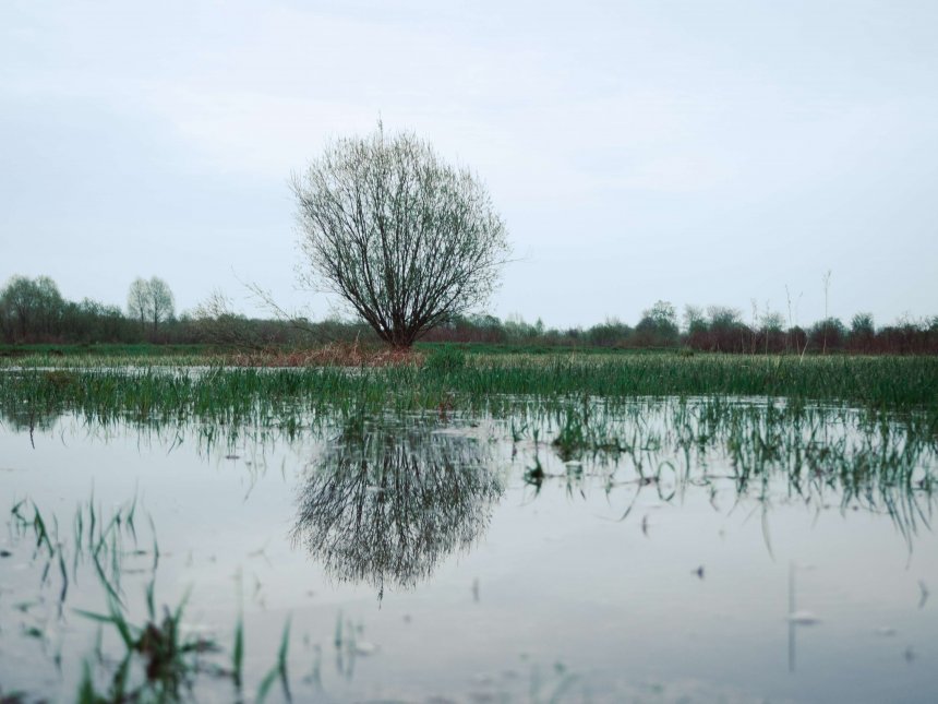 Половодье на Ветлуге -  