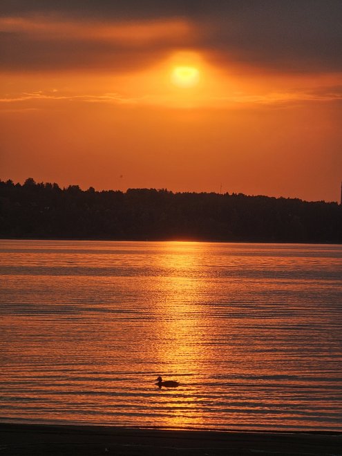 Золотой вечер - Николай Лашов