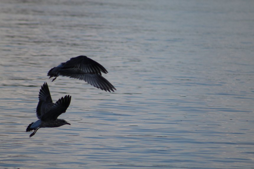Свидание на воде после удачной охоты - Александра